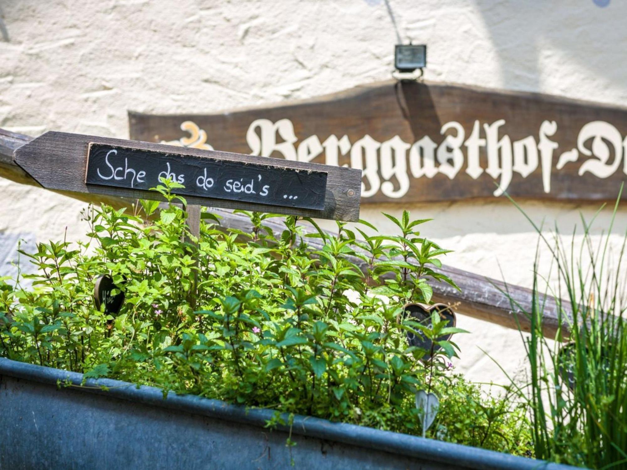 Berggasthof Hotel Duftbraeu I Ruhige Alleinlage I Mitten Im Gruenen Samerberg Luaran gambar